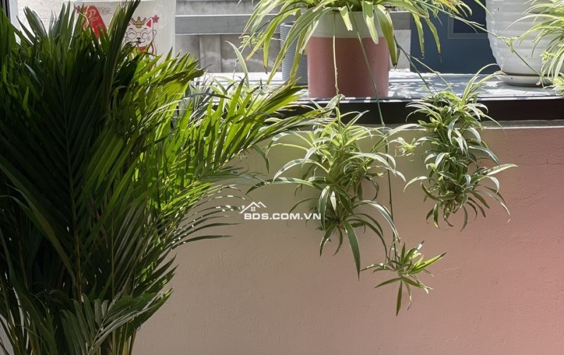 Chính chủ cần bán chung cư FLC full nội thất đẹp- Nằm tại cửa ngõ nơi giao thông huyết mạch kết nối Tp Hạ Long cũ và Tp Hạ Long mở rộng.